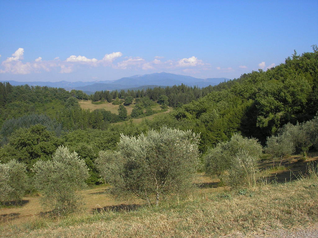 Podere Capitignano บอร์โก ซาน ลอเรนโซ ภายนอก รูปภาพ